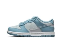 Nike Dunk Low Clear Swoosh